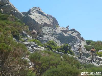 Refugio y vuelta al Pico de la Najarra; parque nacional de los picos de europa asturias descenso sel
